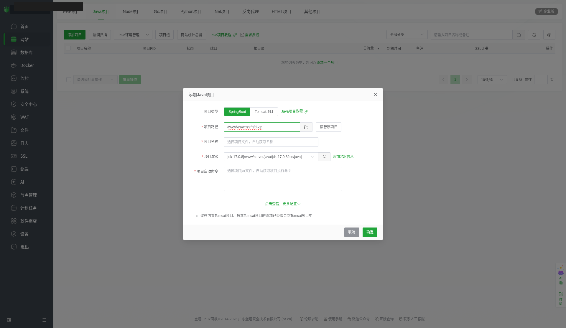 专业版宝塔部署（新手向）：Java项目部署